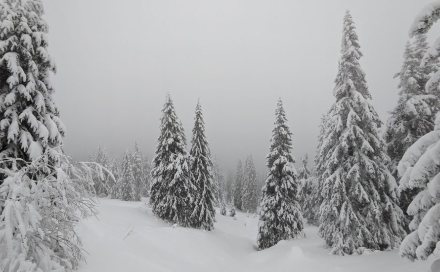 VýSněh: Výlet na sněhu (28. – 29. 1. 2023)